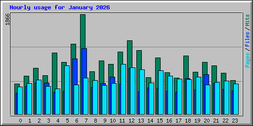 Hourly usage for January 2026