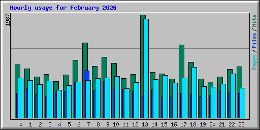 Hourly usage for February 2026