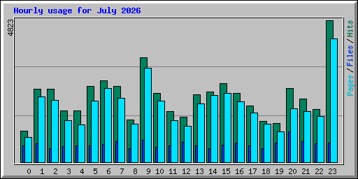 Hourly usage for July 2026