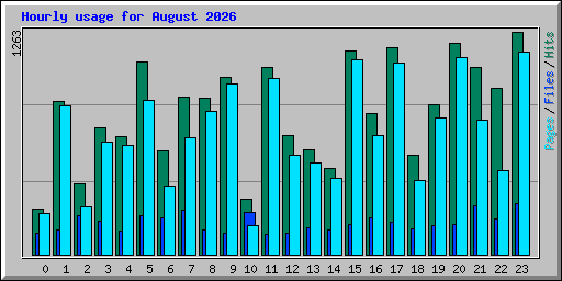Hourly usage for August 2026